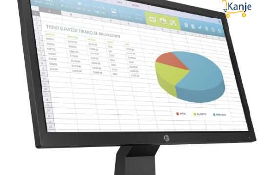 Ecran HP P204v 19.5" LED