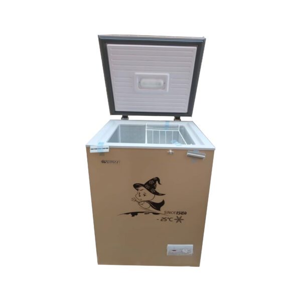 CONGELATEUR SNOWSEA HORIZONTAL 190LITRES GOLD