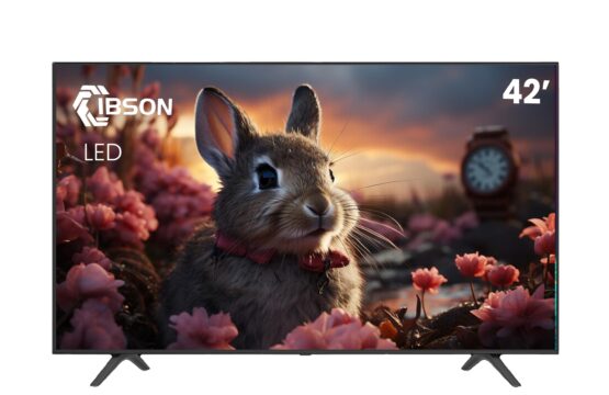 TELEVISEUR IBSON 42' LED