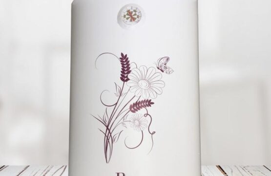 CHAUFFE EAU ROCH 50LITRES