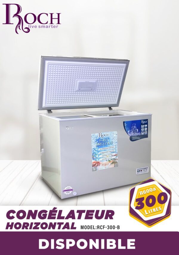 CONGELATEUR ROCH HORIZONTAL 300LITRES GRIS RCF300B – Image 2