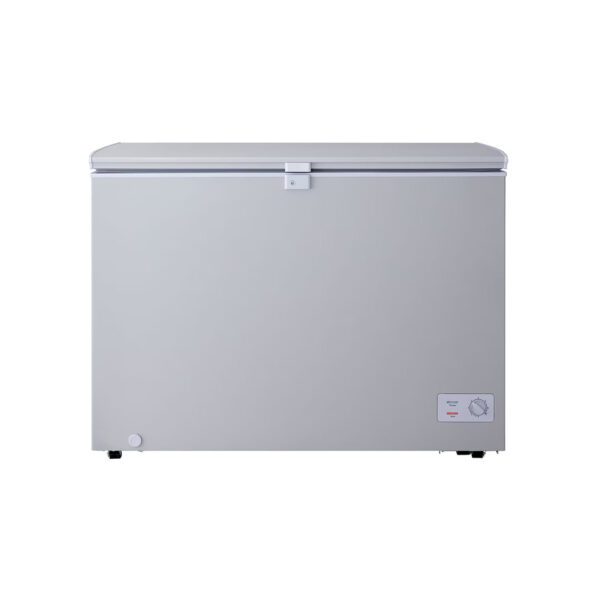 CONGELATEUR LG HORIZONTAL 300LITRES